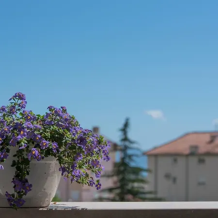 Apartment Ivona